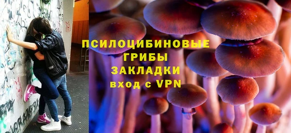 меф Белокуриха